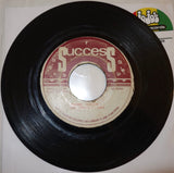 Rupie Edwards All Stars – Another Pleasure / Romp In This Room 7" - Success